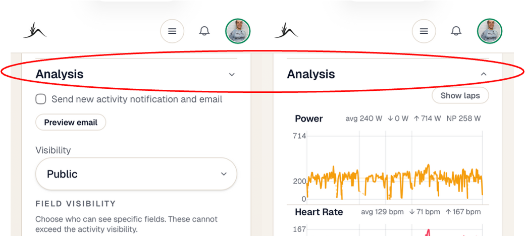 Click the “Analysis” dropdown to analyze your data before publishing.