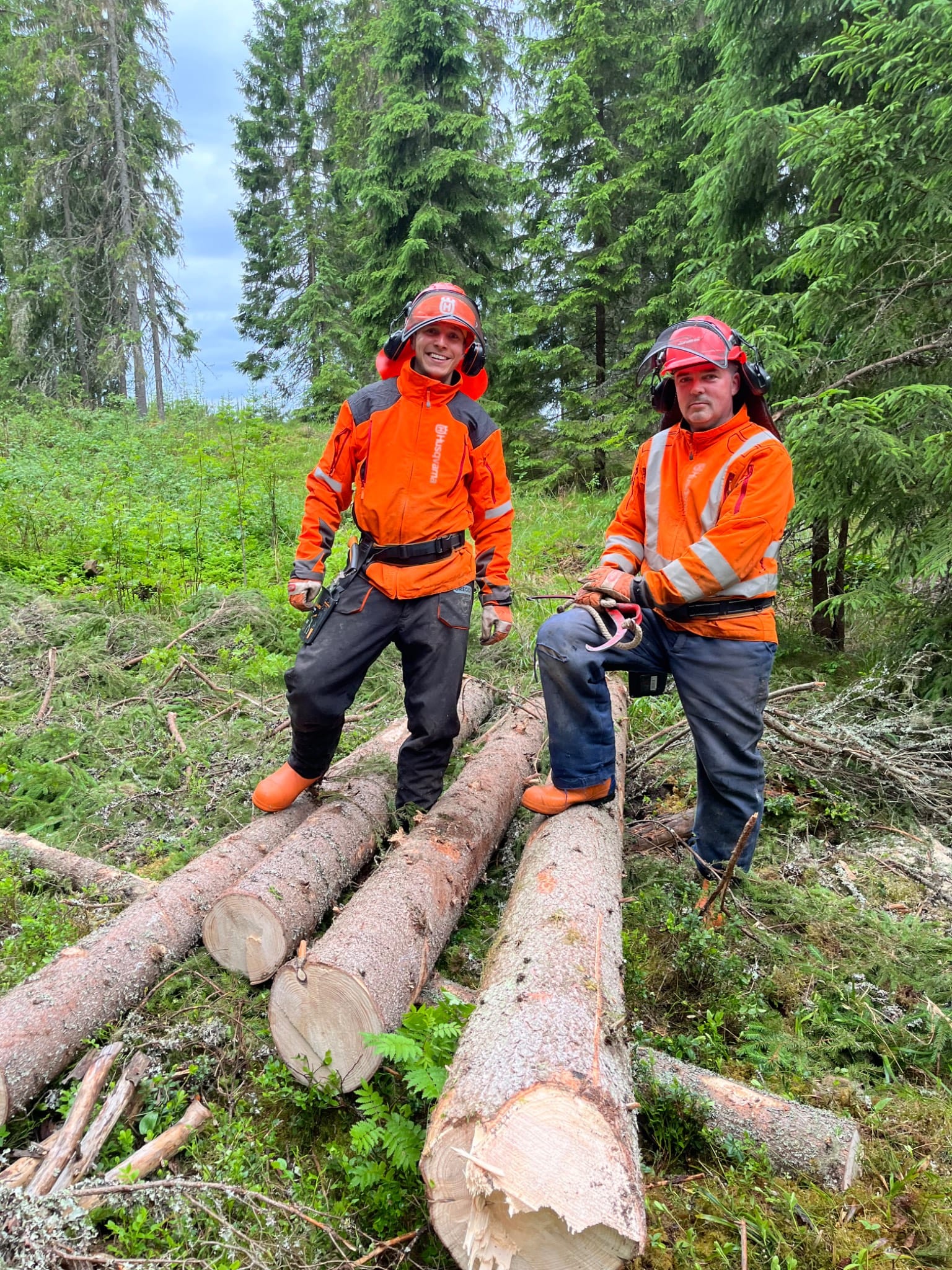 Don't worry, the tree will be used to power the sauna.
