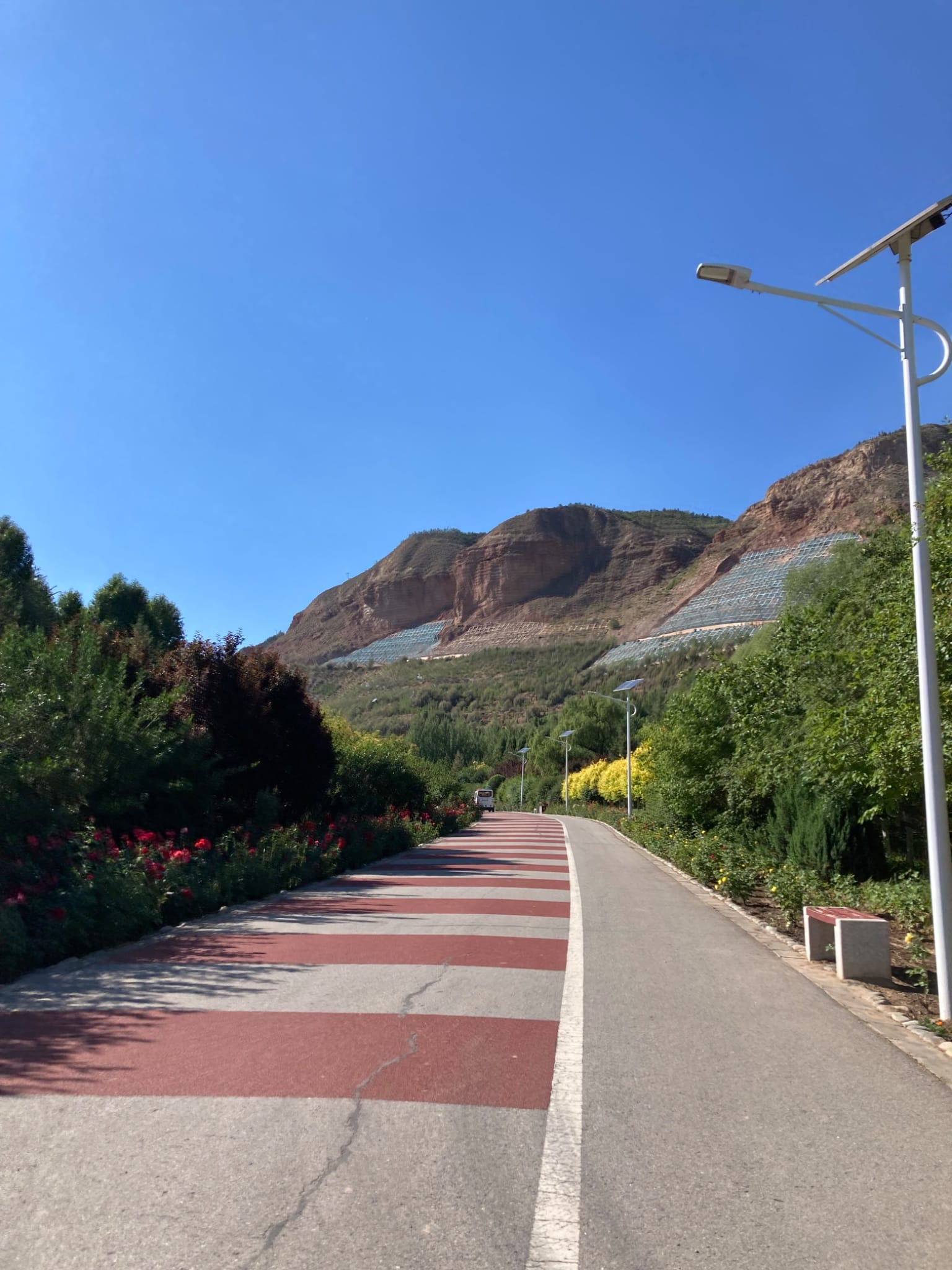 Bike path with a view 🤩